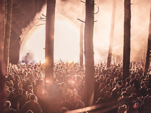 Ethereal setting: the Toil trees stage
