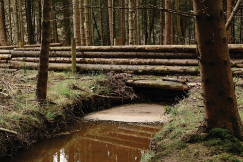 Meta-4 Pickering Flood Defences