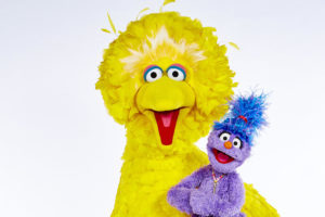 Big Bird Big Issue North