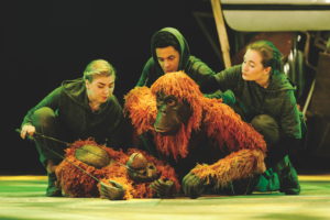Frank, baby Orangutan and Mani (with Darcy Collins, Fred Davis and Romina Hytten)_credit Dan Tsantilis