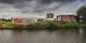 Pomona Island looks like a wasteland but is a habitat for “a kind of untamed nature we don’t have in our parks”