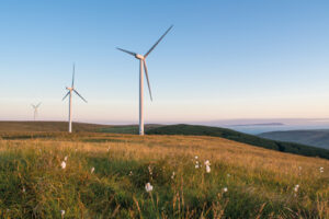 wind farms